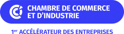 CCI FRANCE